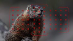 Canon 5D Mark IV settings - focus and autofocus
