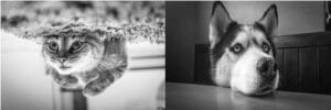 Nikon D7200 portrait settings - black and white