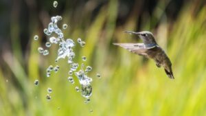 Canon 90D landscape settings - adjusting shutter speed
