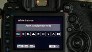 canon 90D portrait settings - white balance
