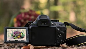 Nikon Z6 review - LCD Monitor
