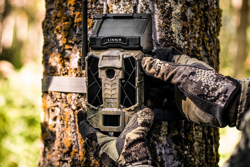 Best Cellular Trail Camera