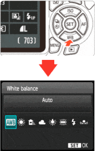 canon rebel t6i white balance