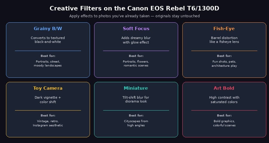 All six creative filters with descriptions and best-use scenarios: Grainy B/W, Soft Focus, Fish-Eye, Toy Camera, Miniature, Art Bold