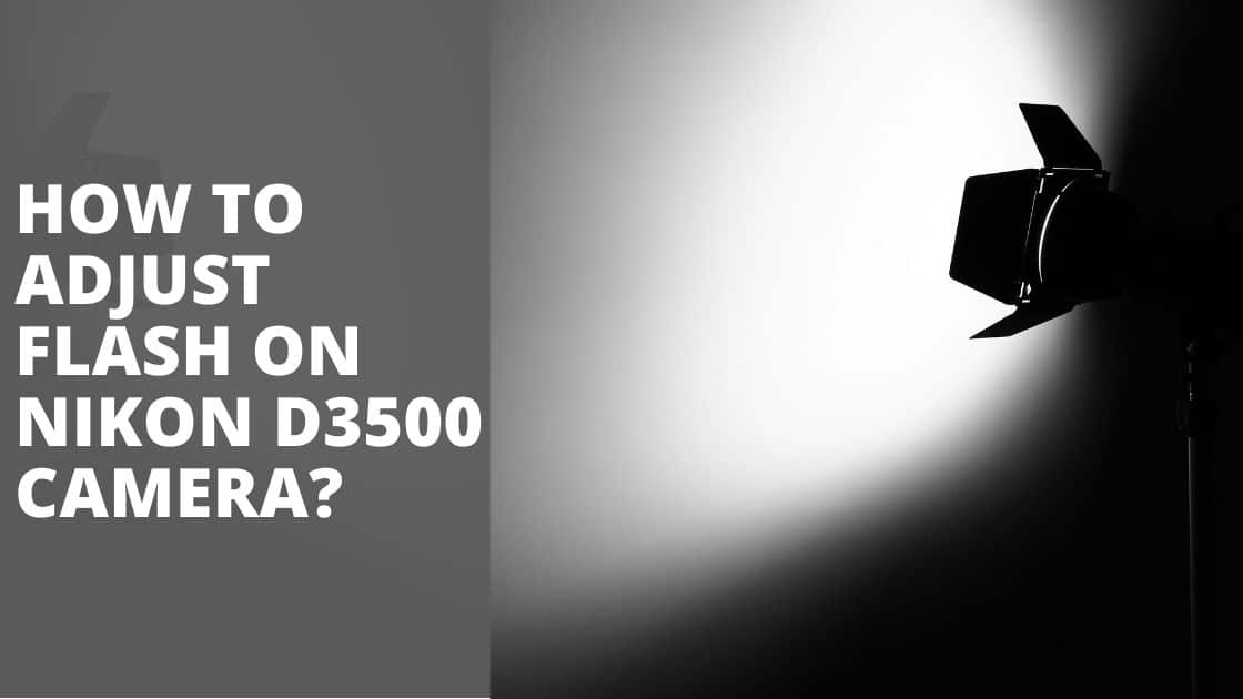 How To Adjust Flash on Nikon D3500 Camera? TechnoWifi