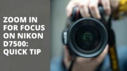 How to Zoom In To Check Focus On The Nikon D7500