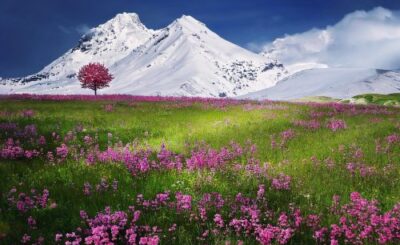 Best Nikon Landscape Lens