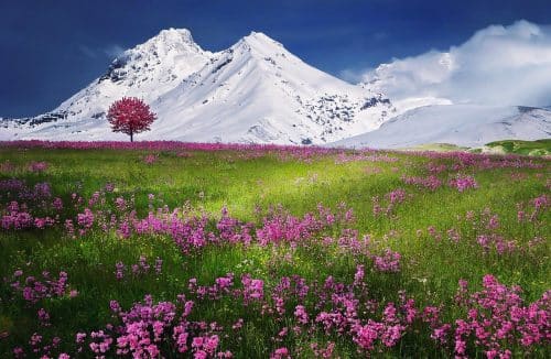 Best Nikon Landscape Lens