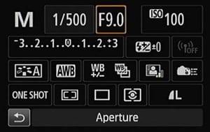Canon 80D Portrait Settings - aperture Canon 80D Portrait Settings - choose your aperture
