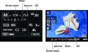 Canon T6 portrait settings shutter priority