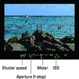 Canon T6 portrait settings shutter