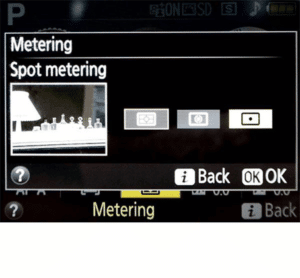 How Nikon D3300 Portrait Settings Work? - TechnoWifi