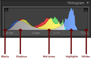 d3300 landscape histogram settings