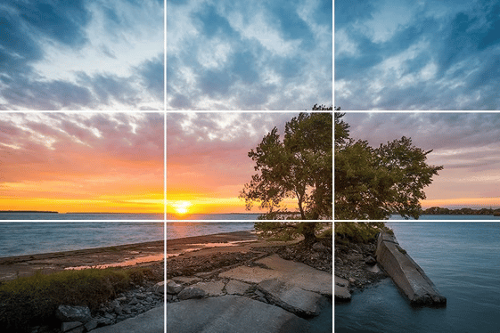 d3300 landscape settings