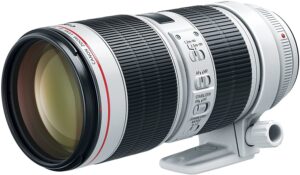 Best Canon Lens for Portrait Best Canon Lens for Portrait