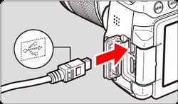 How to connect Canon rebel t6 to computer - plug the cable