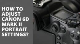 How to adjust Canon 6D Mark II Portrait Settings