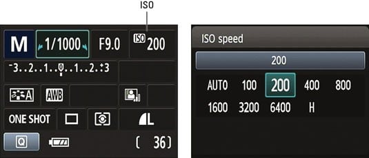 Canon 90D wildlife photography - ISO settings