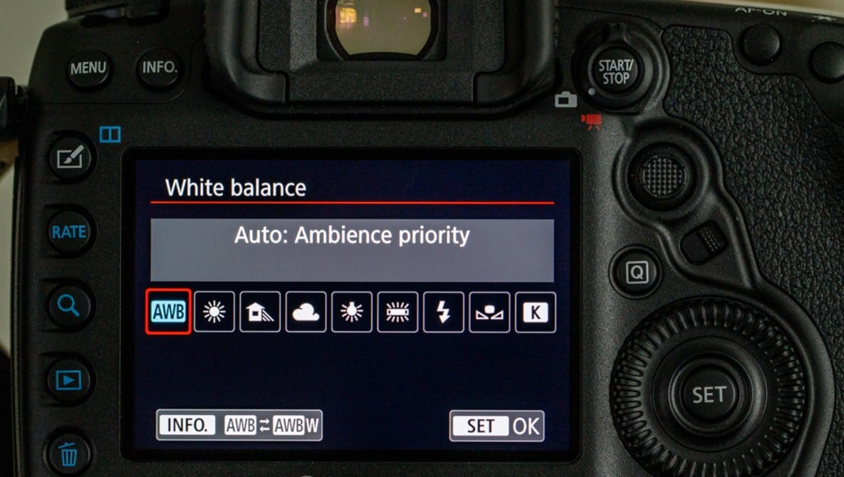 How to Adjust Canon 90D Portrait Photography Settings? TechnoWifi