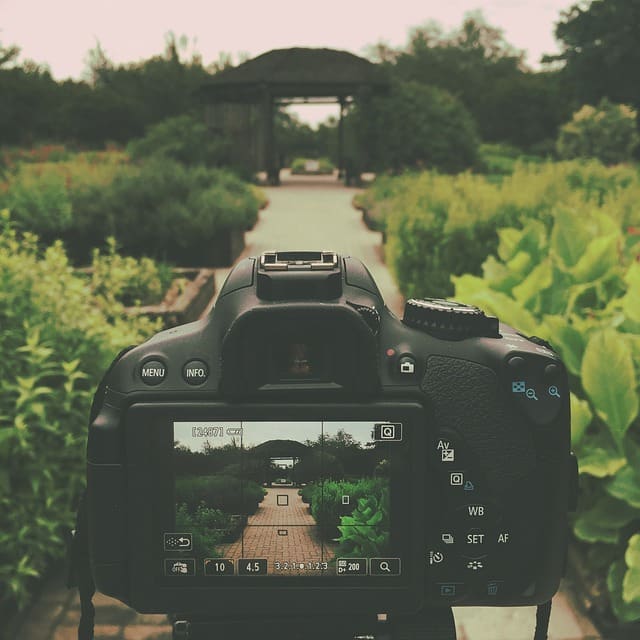 Do you need a flip screen for Vlogging - tweak camera settings