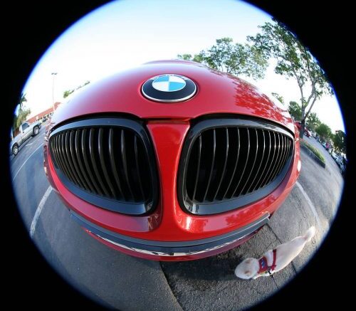 best Canon fisheye lenses