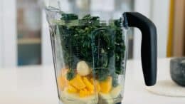 6 Best Blender Food Processor Combo