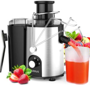 Best Centrifugal Juicer - AZEUS Juicer.jpg