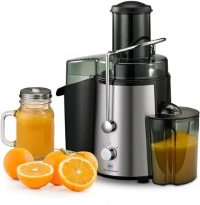 Best Centrifugal Juicer - CARL SCHMIDT SOHN.jpg