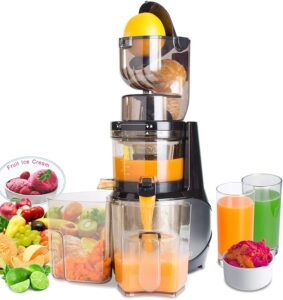 Best Masticating Juicer - VITALISCI- COLD PRESS JUICER