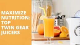 Best Twin Gear Juicer