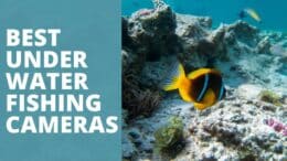 Best Underwater Fishing Cameras