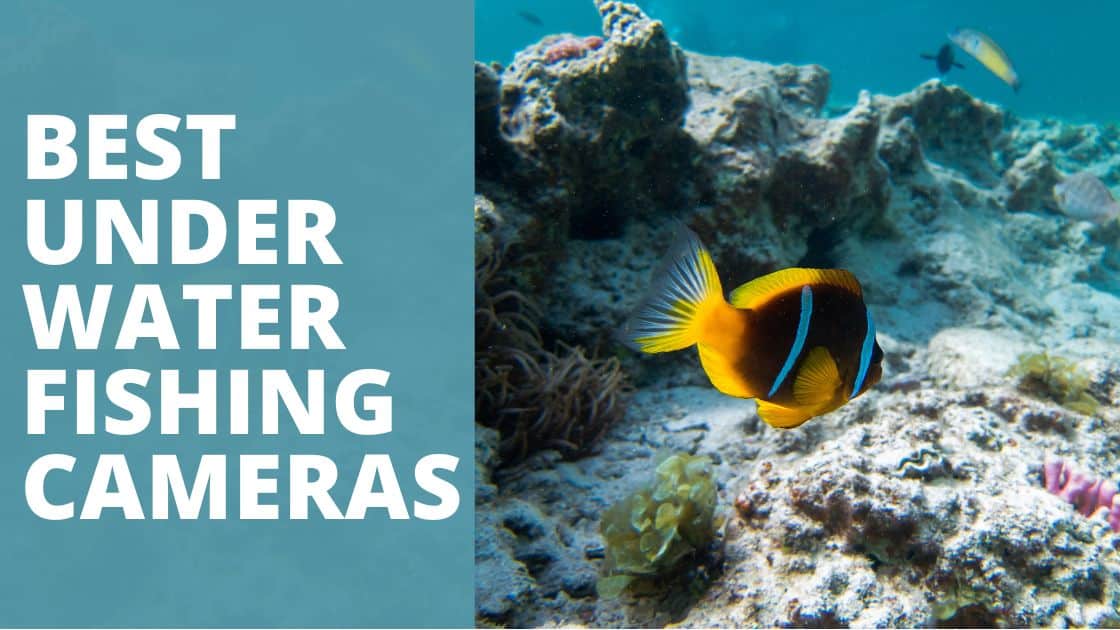 top 10 underwater fishing cameras