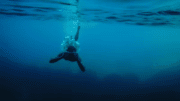 Underwater Fishing Cameras