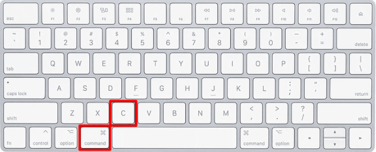 How to Copy and Paste on MacBook Pro How to Copy and Paste on MacBook Pro