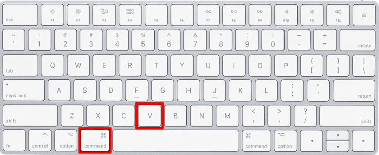 How to Copy and Paste on MacBook Pro How to Copy and Paste on MacBook Pro