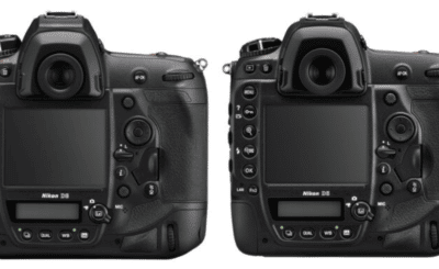 Nikon D5 vs Nikon D6