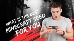 What is The Best Minecraft Seed For You