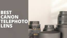 Best Canon Telephoto Lenses