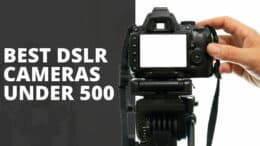 Best DSLR Cameras Under 500