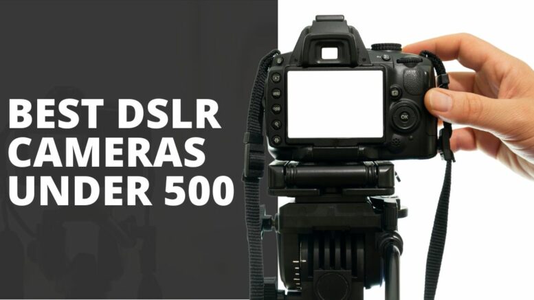 Best DSLR Cameras Under 500