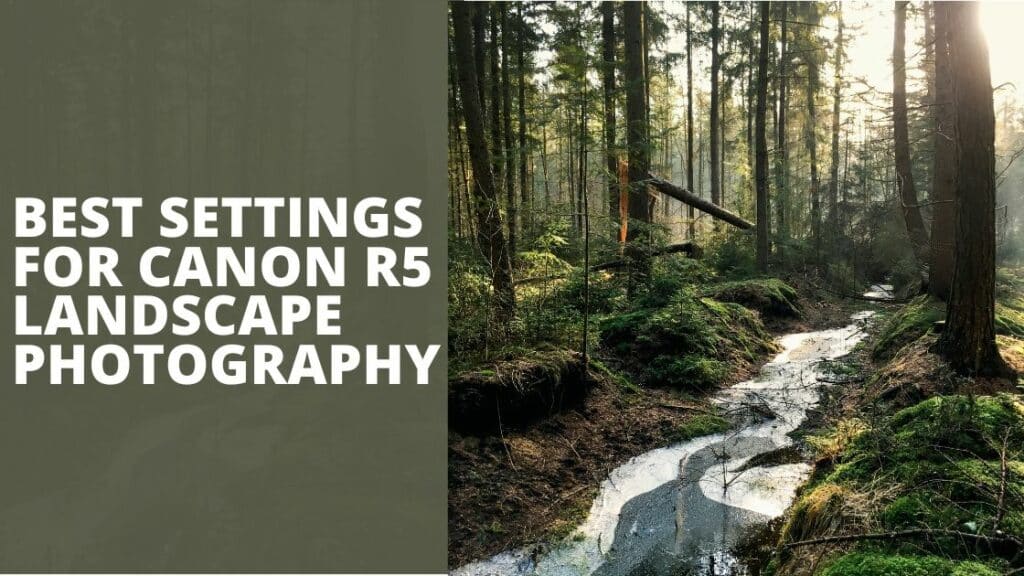 Best Settings For Canon R5 Landscape Photography TechnoWifi