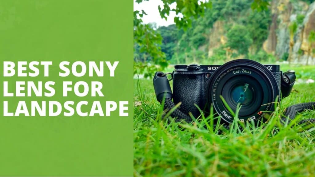 5 Best Sony Lens For Landscape TechnoWifi