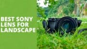 Best Sony Lens For Landscape