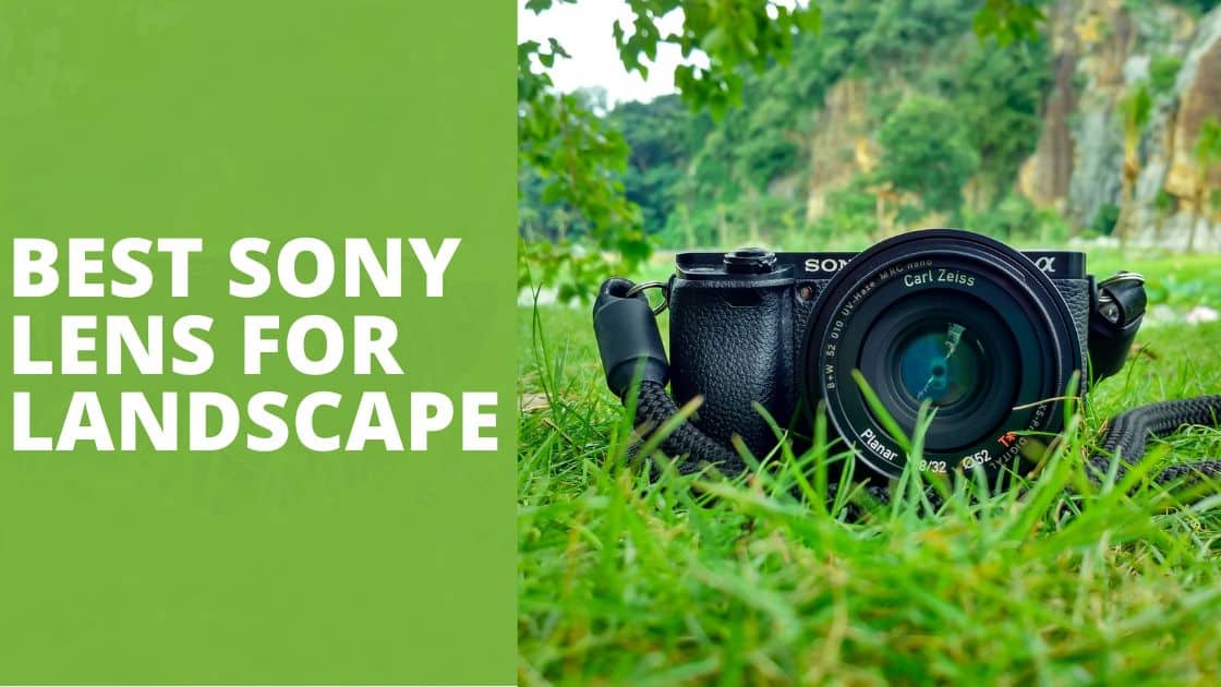 5 Best Sony Lens For Landscape TechnoWifi