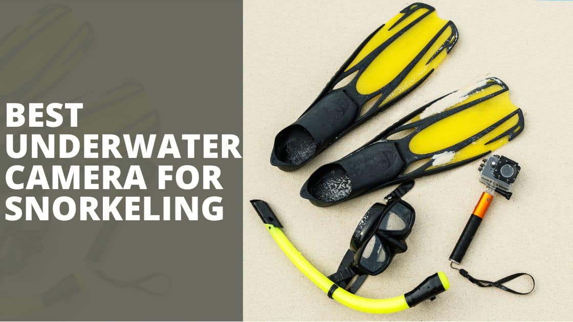 5 Best Underwater Camera For Snorkeling TechnoWifi