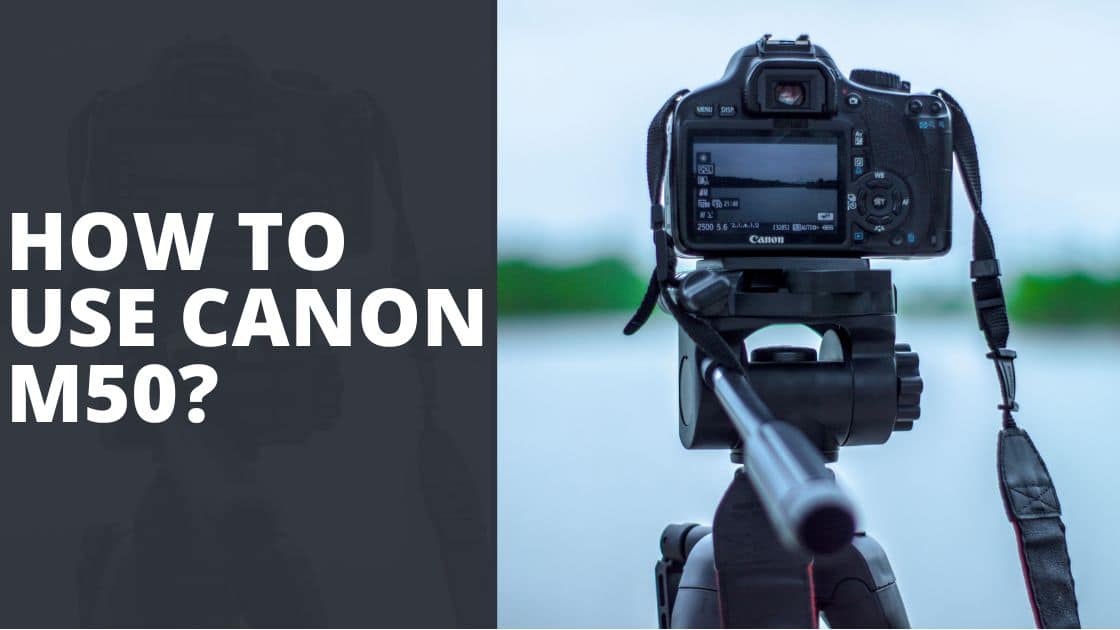 canon m50 video example
