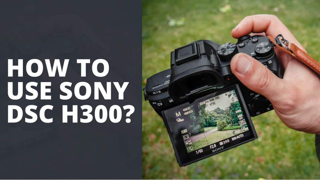 sony dsh 300