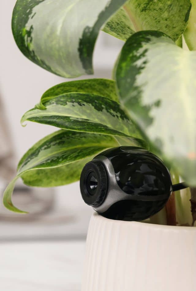 How to Make a Spy Camera With Household Items How to Make a Spy Camera With Household Items