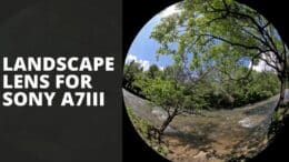 Landscape Lens For Sony A7iii