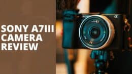 Sony A7iii Camera Review